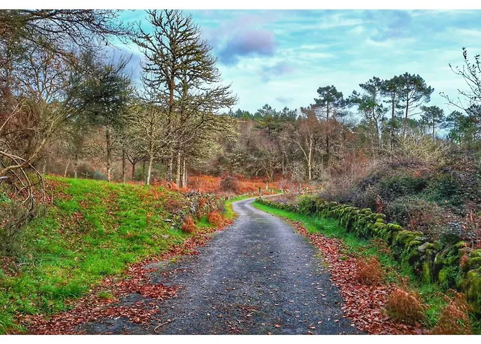 別荘 Casa Carmen Freas *