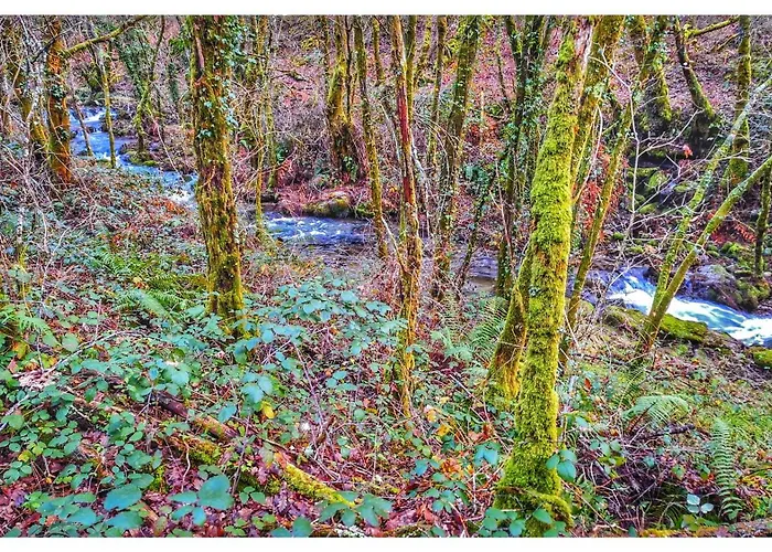 別荘 Casa Carmen Freas